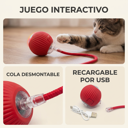 Collage ilustrativo: juego interactivo, cola desmontable y recarga USB.